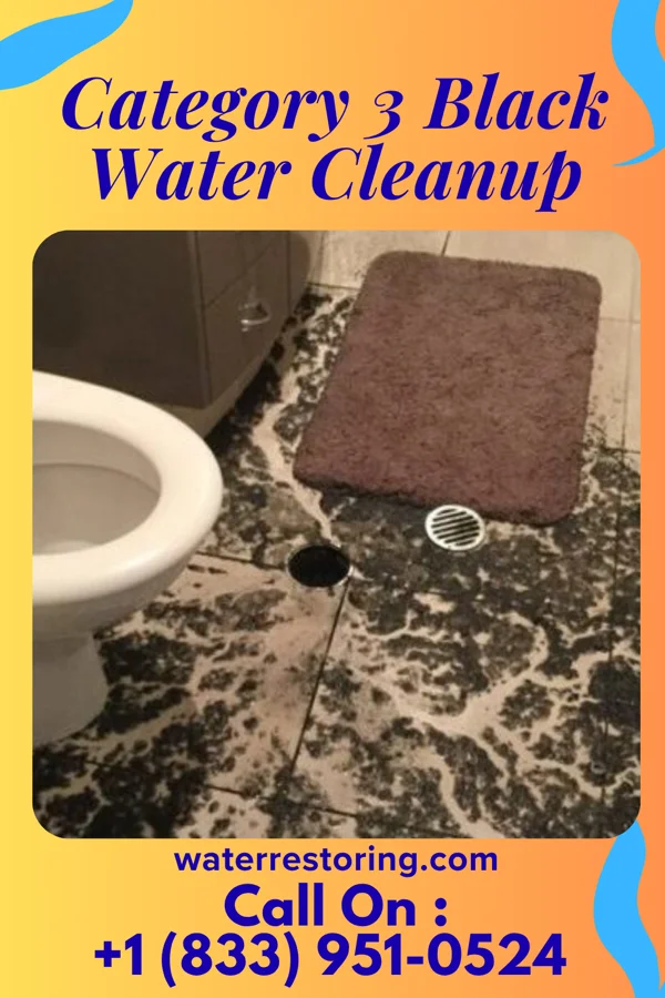 Category 3 Black Water Cleanup in Mapleton, MN