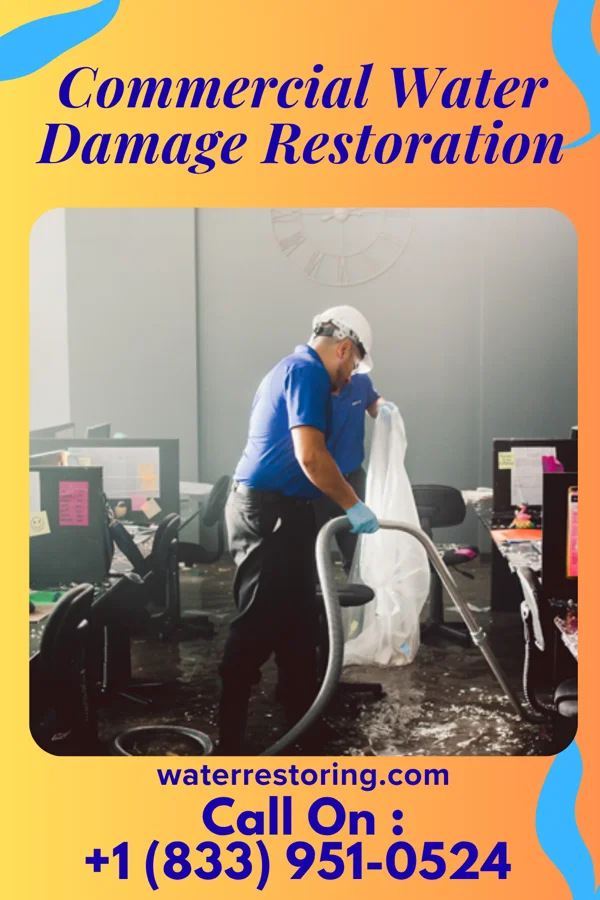 Commercial Water Damage Restoration in Mapleton, MN