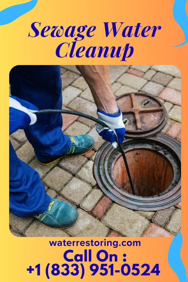 Sewage Water Cleanup in Mapleton, MN