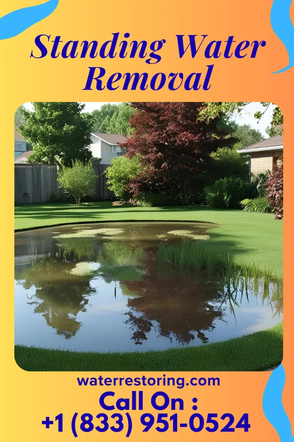 Standing Water Removal in Mapleton, MN